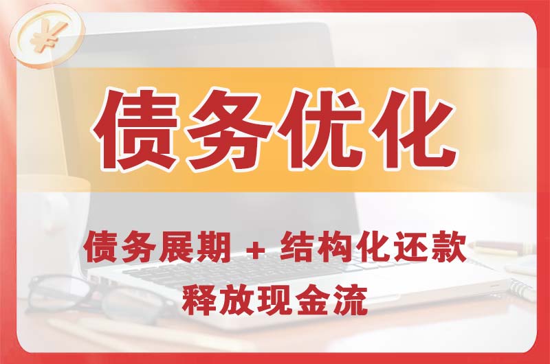 西藏债务优化